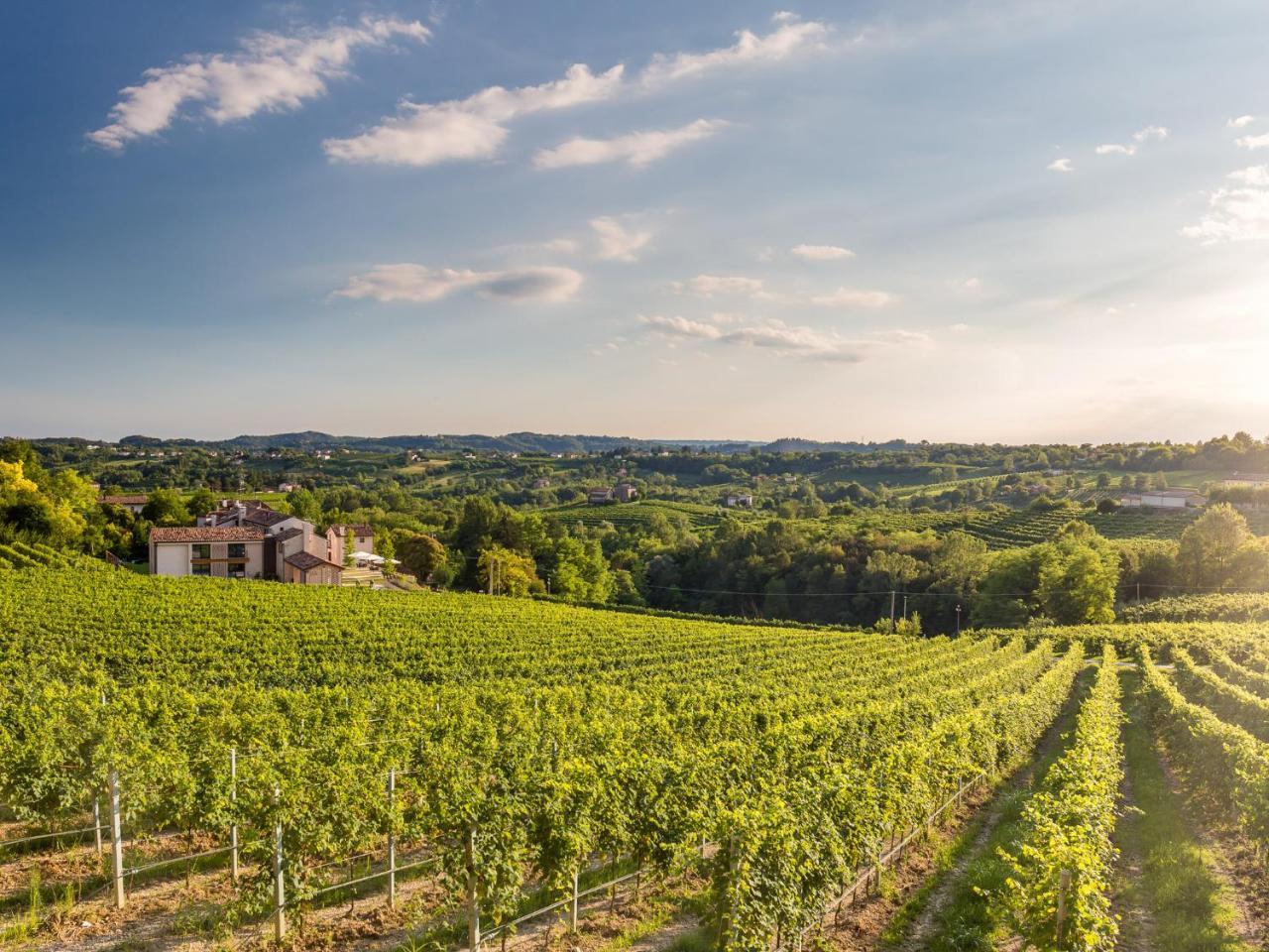 Tenuta Sant'Eufemia San Pietro Di Feletto Екстер'єр фото